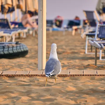 Apartment Enjoy The Sun From Our The Terrace! Porto Santa Margherita di Caorle